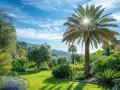 Un jardin luxuriant sous un ciel bleu, avec un grand palmier au soleil. Une idée de paysage méditerranéen paisible.