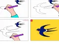 Étapes pour un dessin hirondelle facile : une main dessine une hirondelle en vol, puis la complète avec des couleurs vives sur fond jaune.