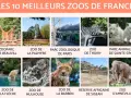 Classement des 10 meilleurs zoos de France : Beauval, La Palmyre, Paris, Thoiry, Sainte-Croix, La Flèche, Mulhouse, La Barben, Sigean, Amnéville.