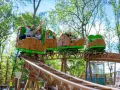 Famille joyeuse sur des wagons de montagnes russes en bois dans un parc attraction ile de france.