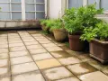 Des plantes vertes dans des pots ornent une terrasse carrelée, une idée pour comment recouvrir une terrasse abîmée.