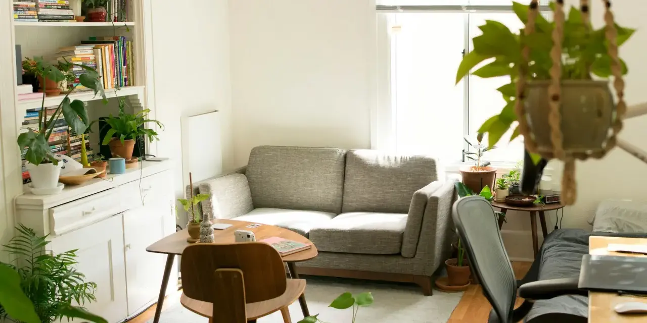 Salon lumineux avec canapé gris, étagères remplies de livres et de plantes, créant une ambiance feng shui maison.