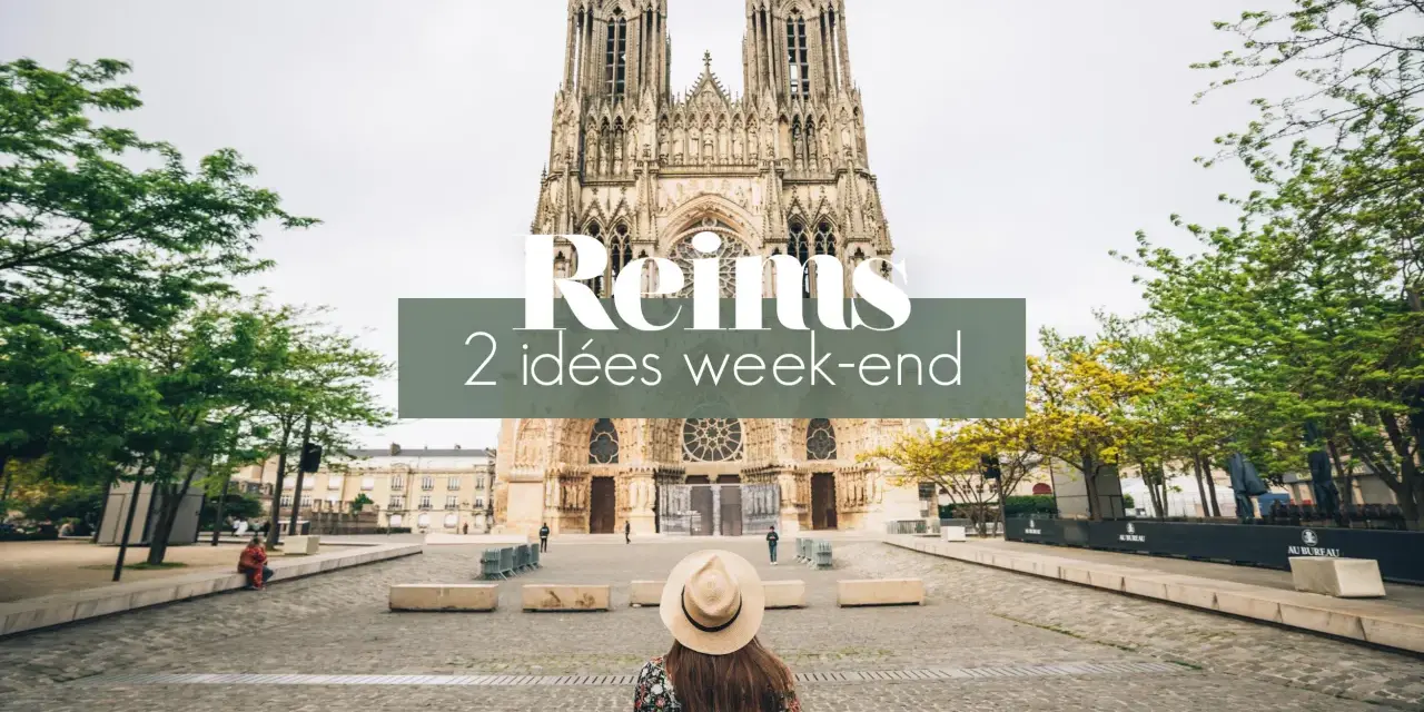 Vue de la cathédrale de Reims. Idéal pour une activité enfant à Reims, ce lieu offre de belles découvertes.