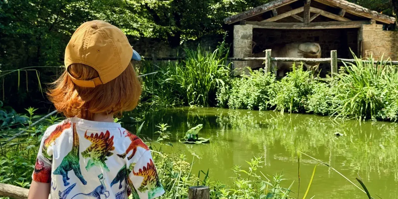 Un enfant avec un t-shirt dinosaure regarde un étang verdoyant et une étable. Le Puy du Fou, un lieu pour tous les âges.