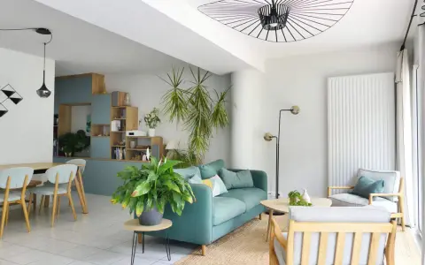 Ambiance chaleureuse pour ce salon salle à manger avec canapé bleu canard, fauteuils en bois clair et plantes vertes.
