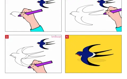 Étapes pour un dessin hirondelle facile : une main dessine une hirondelle en vol, puis la complète avec des couleurs vives sur fond jaune.