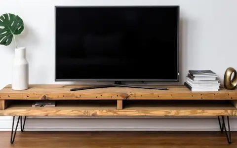 Meuble TV DIY en bois brut avec une plante verte dans un vase blanc, une pile de livres et un objet décoratif doré.