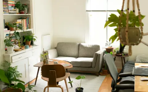 Salon lumineux avec canapé gris, étagères remplies de livres et de plantes, créant une ambiance feng shui maison.