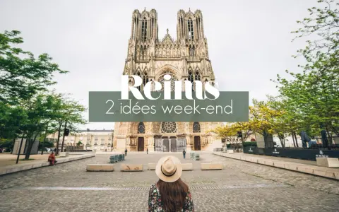 Vue de la cathédrale de Reims. Idéal pour une activité enfant à Reims, ce lieu offre de belles découvertes.
