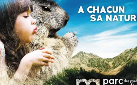 Avis sur parc animalier des Pyrénées : une fillette et une marmotte se regardent, avec des montagnes en arrière-plan.