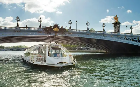 Bateau bus VENDOME navigue sous le pont Alexandre III. Découvrez Paris autrement, infos tarif RATP.