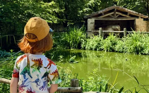 Un enfant avec un t-shirt dinosaure regarde un étang verdoyant et une étable. Le Puy du Fou, un lieu pour tous les âges.