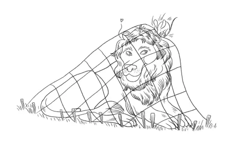 Dessin le lion et le rat : un lion endormi sous un filet, un petit rat curieux sur sa tête.
