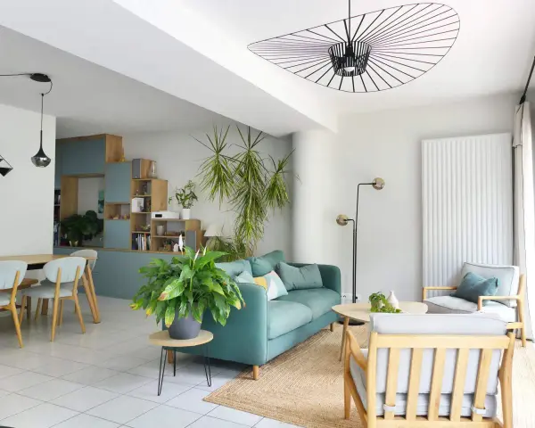 Ambiance chaleureuse pour ce salon salle à manger avec canapé bleu canard, fauteuils en bois clair et plantes vertes.