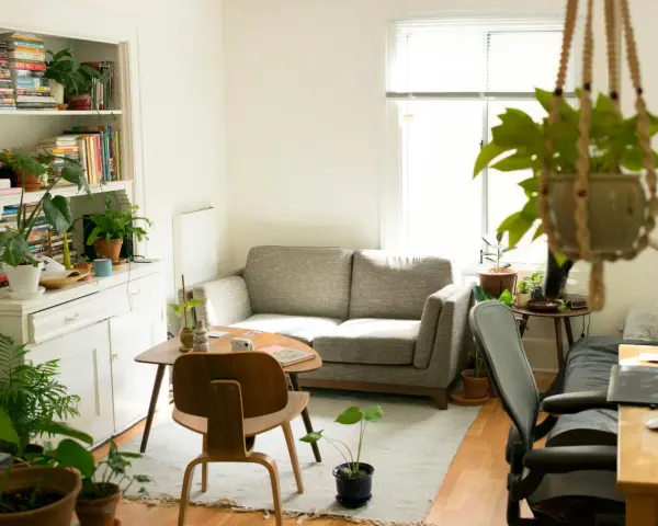 Salon lumineux avec canapé gris, étagères remplies de livres et de plantes, créant une ambiance feng shui maison.