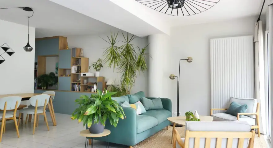 Ambiance chaleureuse pour ce salon salle à manger avec canapé bleu canard, fauteuils en bois clair et plantes vertes.