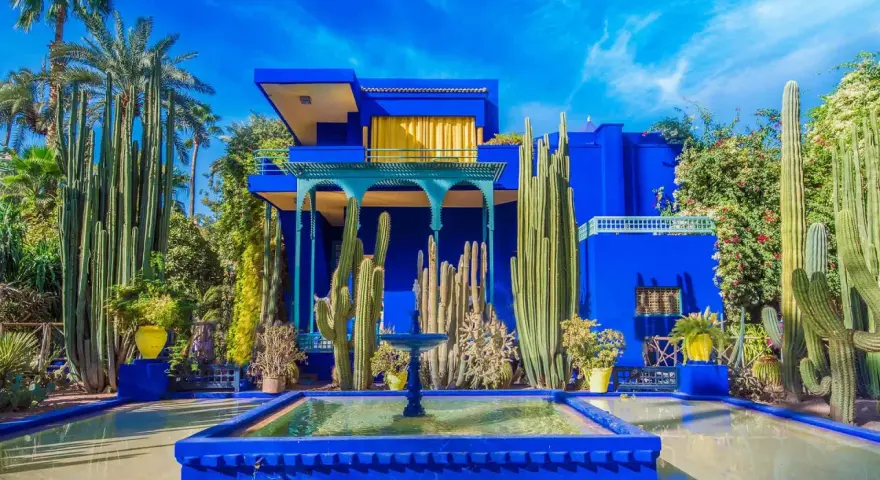 Jardin Majorelle, un havre de paix aux teintes bleu klein et bleu majorelle, où cactus et fontaines s'épanouissent sous un ciel azur.