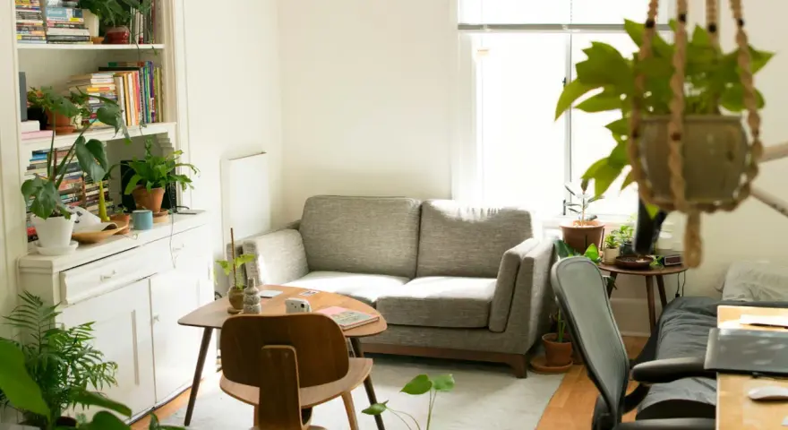Salon lumineux avec canapé gris, étagères remplies de livres et de plantes, créant une ambiance feng shui maison.