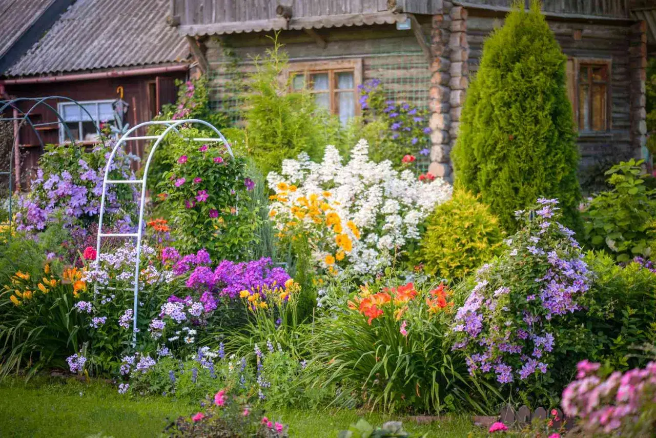 Un jardin luxuriant avec une arche blanche, des fleurs violettes, oranges et blanches. Une belle idée parterre de fleurs pour un décor champêtre.