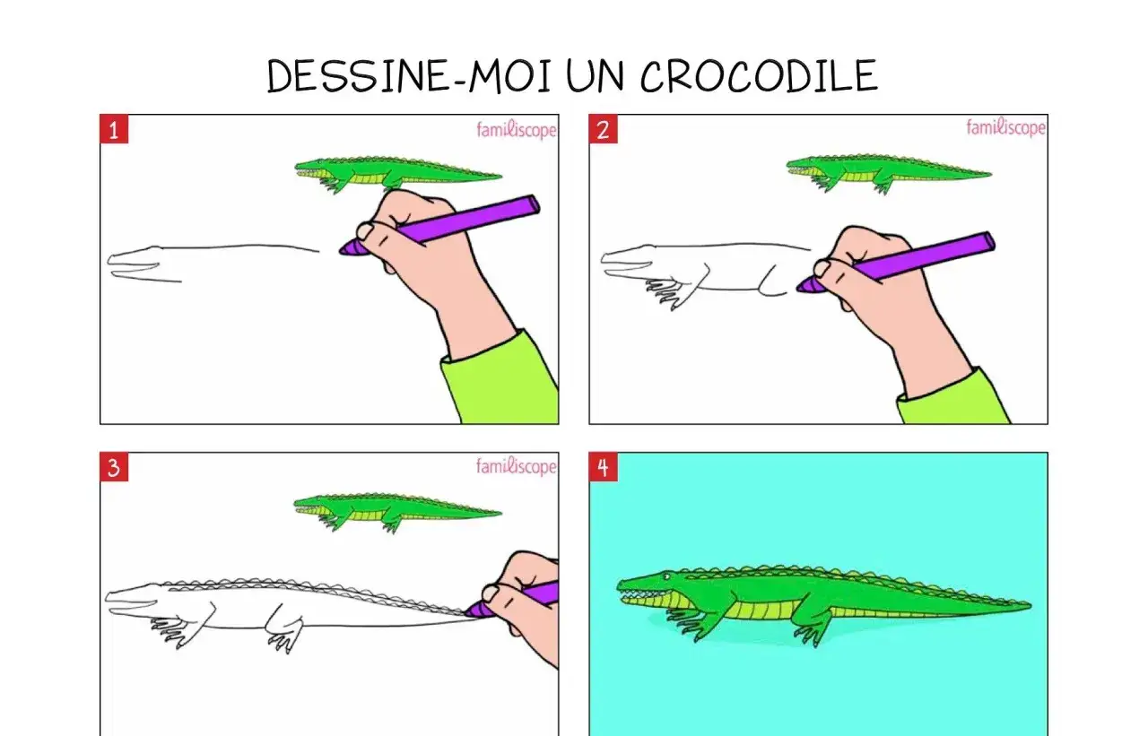 Étapes pour un crocodile facile à dessiner. Une main dessine un crocodile vert, étape par étape, sur fond blanc puis bleu.