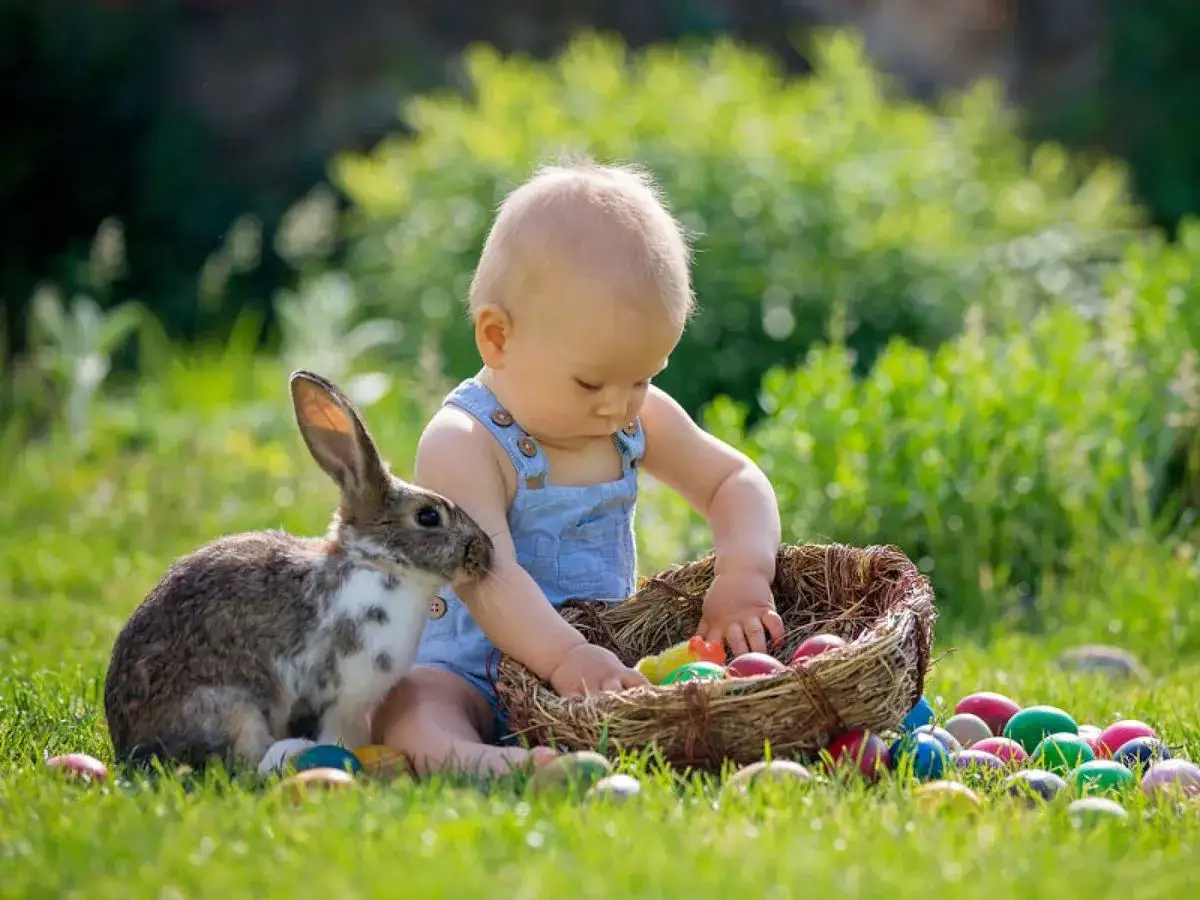 Un b&eacute;b&eacute; et un lapin explorent un panier d'&oelig;ufs color&eacute;s, pr&ecirc;ts pour la chasse aux &oelig;ufs de P&acirc;ques dans l'herbe verte.