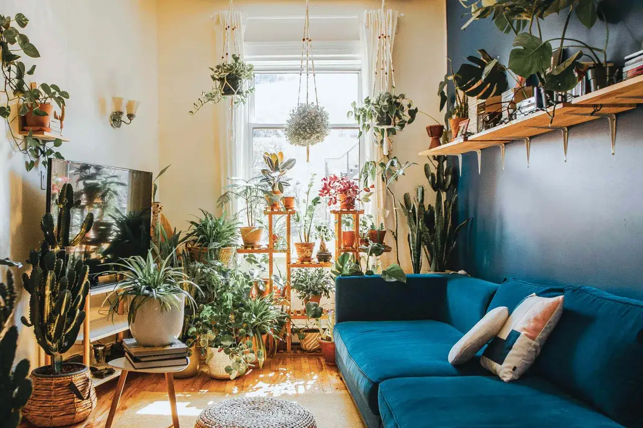 Un salon baigné de lumière, rempli de plantes vertes d'intérieur faciles à vivre. Cactus, fougères et plantes retombantes prospèrent sur des étagères et des supports en bois.