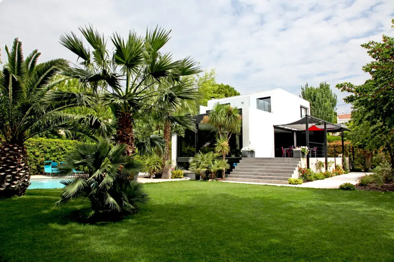 Une villa moderne avec une piscine et un jardin luxuriant, dominé par un grand palmier. Une idée de rêve avec ce palmier majestueux.
